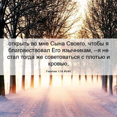 Picture 06 - Галатам 1:16 RUSV - открыть во мне Сына Своего, - Bible Verse Picture