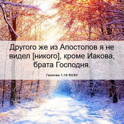 Picture 06 - Галатам 1:19 RUSV - Другого же из Апостолов я - Bible Verse Picture