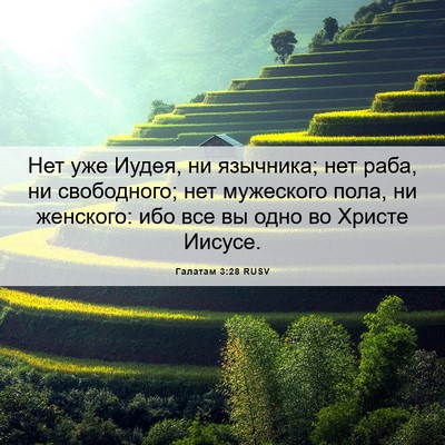 Picture 06 - Галатам 3:28 RUSV - Нет уже Иудея, ни язычника; - Bible Verse Picture