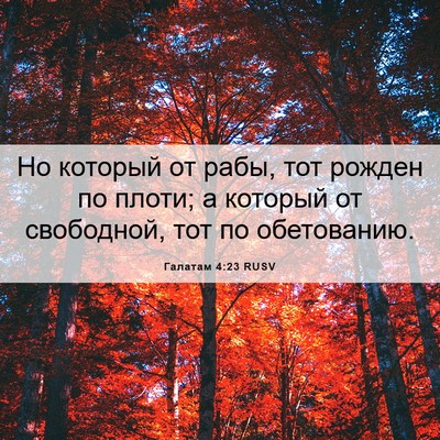 Picture 06 - Галатам 4:23 RUSV - Но который от рабы, тот - Bible Verse Picture