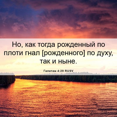 Picture 06 - Галатам 4:29 RUSV - Но, как тогда рожденный по - Bible Verse Picture