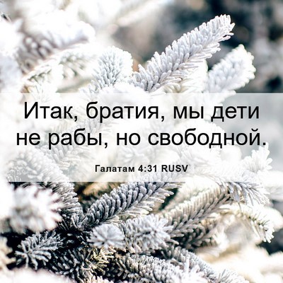 Picture 06 - Галатам 4:31 RUSV - Итак, братия, мы дети не - Bible Verse Picture