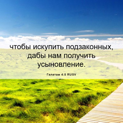 Picture 06 - Галатам 4:5 RUSV - чтобы искупить - Bible Verse Picture