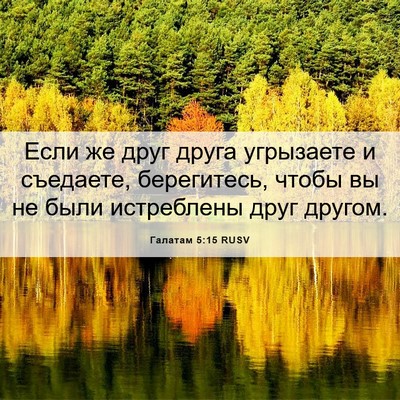 Picture 06 - Галатам 5:15 RUSV - Если же друг друга - Bible Verse Picture