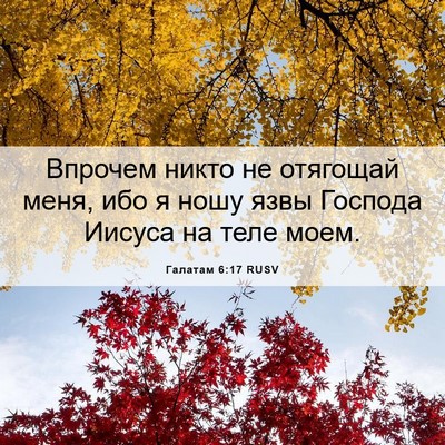 Picture 06 - Галатам 6:17 RUSV - Впрочем никто не отягощай - Bible Verse Picture