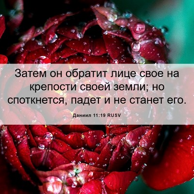 Picture 06 - Даниил 11:19 RUSV - Затем он обратит лице свое - Bible Verse Picture