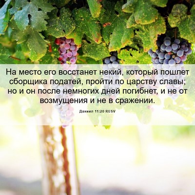 Picture 06 - Даниил 11:20 RUSV - На место его восстанет - Bible Verse Picture