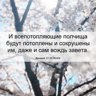 Picture 06 - Даниил 11:22 RUSV - И всепотопляющие полчища - Bible Verse Picture
