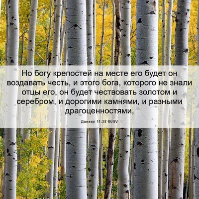 Picture 06 - Даниил 11:38 RUSV - Но богу крепостей на месте - Bible Verse Picture
