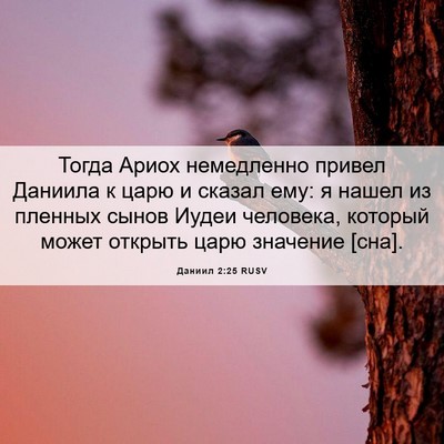 Picture 06 - Даниил 2:25 RUSV - Тогда Ариох немедленно - Bible Verse Picture