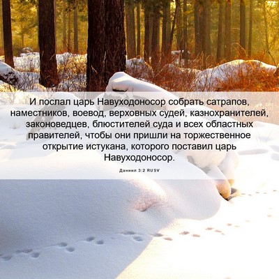 Picture 06 - Даниил 3:2 RUSV - И послал царь - Bible Verse Picture