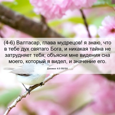 Picture 06 - Даниил 4:9 RUSV - (4-6) Валтасар, глава - Bible Verse Picture