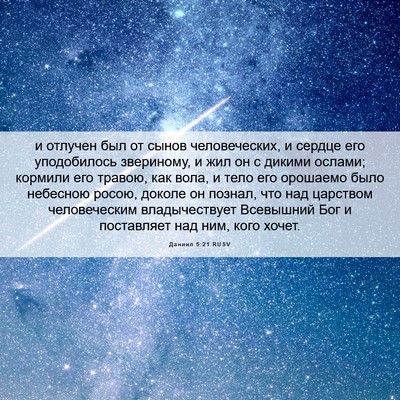 Picture 06 - Даниил 5:21 RUSV - и отлучен был от сынов - Bible Verse Picture