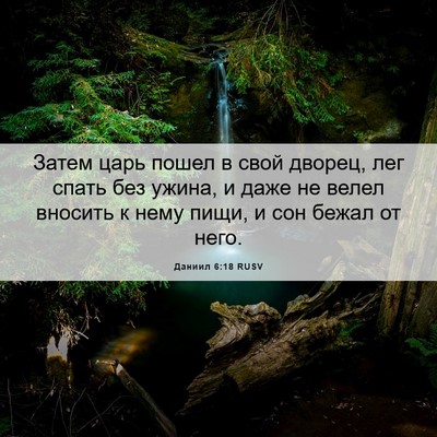 Picture 06 - Даниил 6:18 RUSV - Затем царь пошел в свой - Bible Verse Picture
