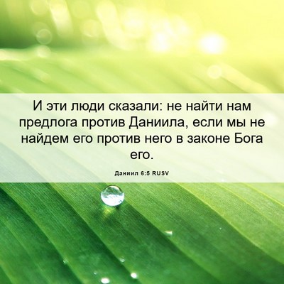 Picture 06 - Даниил 6:5 RUSV - И эти люди сказали: не - Bible Verse Picture