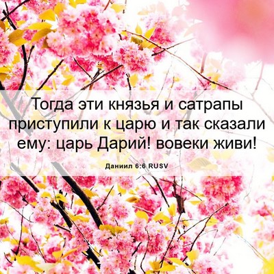Picture 06 - Даниил 6:6 RUSV - Тогда эти князья и сатрапы - Bible Verse Picture