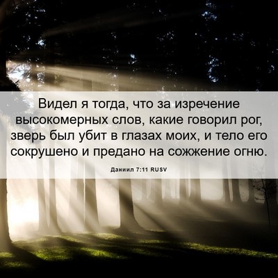 Picture 06 - Даниил 7:11 RUSV - Видел я тогда, что за - Bible Verse Picture