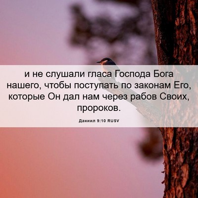 Picture 06 - Даниил 9:10 RUSV - и не слушали гласа Господа - Bible Verse Picture