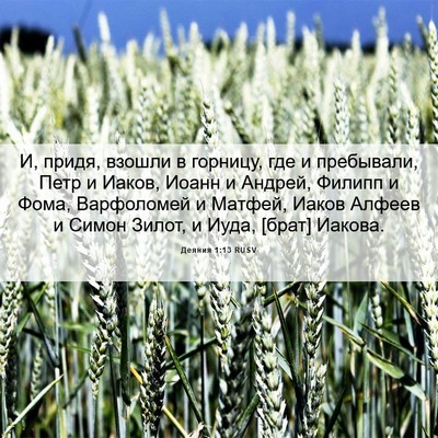 Picture 06 - Деяния 1:13 RUSV - И, придя, взошли в горницу, - Bible Verse Picture
