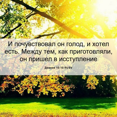Picture 06 - Деяния 10:10 RUSV - И почувствовал он голод, и - Bible Verse Picture