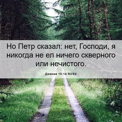 Picture 06 - Деяния 10:14 RUSV - Но Петр сказал: нет, - Bible Verse Picture