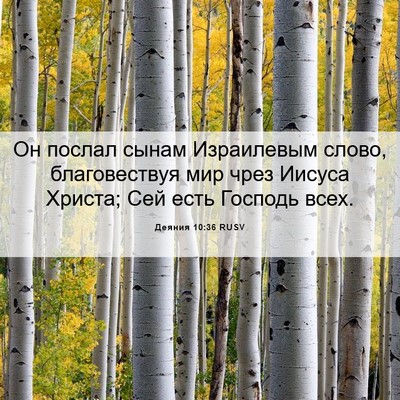 Picture 06 - Деяния 10:36 RUSV - Он послал сынам Израилевым - Bible Verse Picture