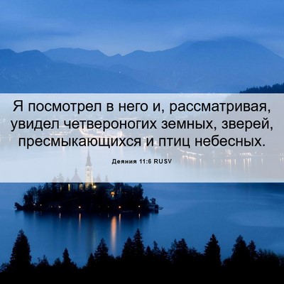 Picture 06 - Деяния 11:6 RUSV - Я посмотрел в него и, - Bible Verse Picture