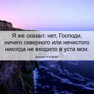 Picture 06 - Деяния 11:8 RUSV - Я же сказал: нет, Господи, - Bible Verse Picture