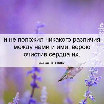 Picture 06 - Деяния 15:9 RUSV - и не положил никакого - Bible Verse Picture