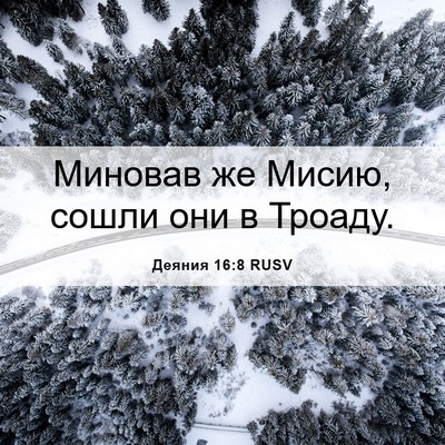 Picture 06 - Деяния 16:8 RUSV - Миновав же Мисию, сошли они - Bible Verse Picture