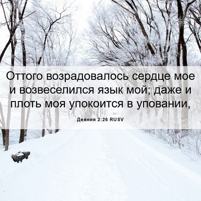 Picture 06 - Деяния 2:26 RUSV - Оттого возрадовалось - Bible Verse Picture