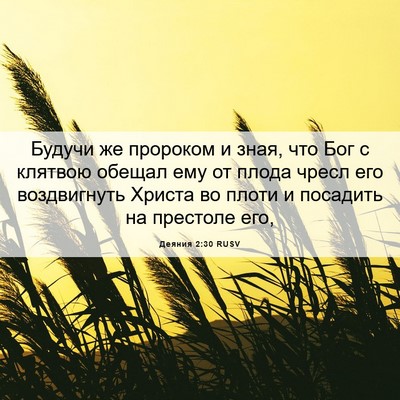 Picture 06 - Деяния 2:30 RUSV - Будучи же пророком и зная, - Bible Verse Picture