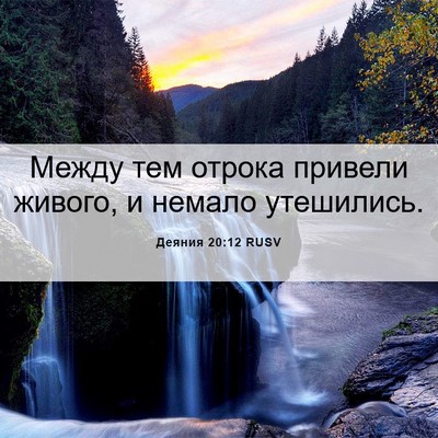 Picture 06 - Деяния 20:12 RUSV - Между тем отрока привели - Bible Verse Picture