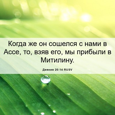 Picture 06 - Деяния 20:14 RUSV - Когда же он сошелся с нами - Bible Verse Picture