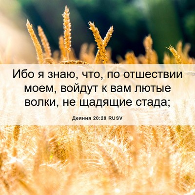 Picture 06 - Деяния 20:29 RUSV - Ибо я знаю, что, по - Bible Verse Picture