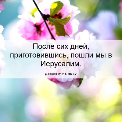 Picture 06 - Деяния 21:15 RUSV - После сих дней, - Bible Verse Picture