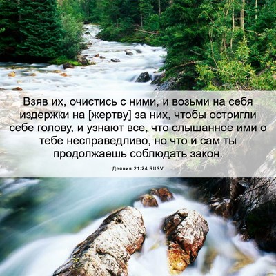 Picture 06 - Деяния 21:24 RUSV - Взяв их, очистись с ними, и - Bible Verse Picture
