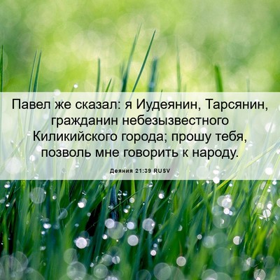 Picture 06 - Деяния 21:39 RUSV - Павел же сказал: я - Bible Verse Picture