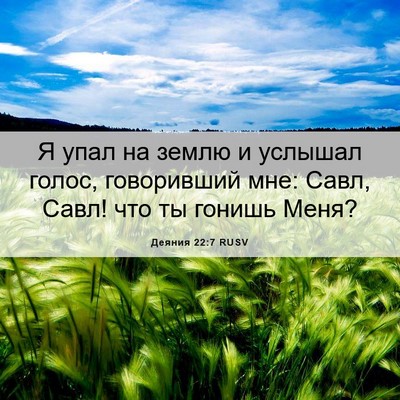 Picture 06 - Деяния 22:7 RUSV - Я упал на землю и услышал - Bible Verse Picture