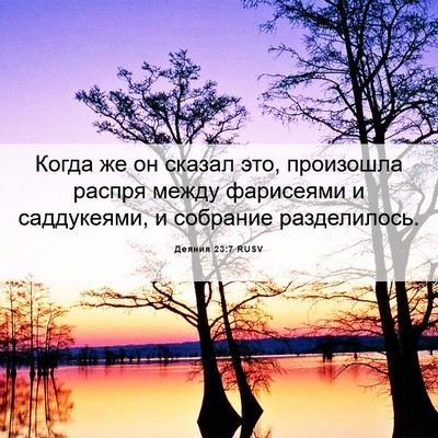 Picture 06 - Деяния 23:7 RUSV - Когда же он сказал это, - Bible Verse Picture