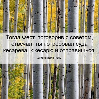 Picture 06 - Деяния 25:12 RUSV - Тогда Фест, поговорив с - Bible Verse Picture
