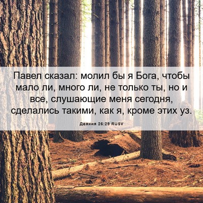 Picture 06 - Деяния 26:29 RUSV - Павел сказал: молил бы я - Bible Verse Picture