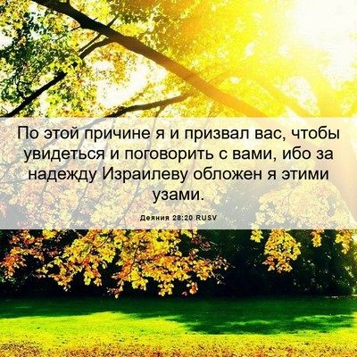 Picture 06 - Деяния 28:20 RUSV - По этой причине я и призвал - Bible Verse Picture