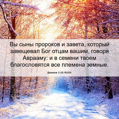 Picture 06 - Деяния 3:25 RUSV - Вы сыны пророков и завета, - Bible Verse Picture