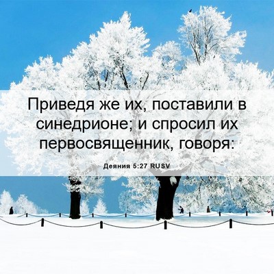 Picture 06 - Деяния 5:27 RUSV - Приведя же их, поставили в - Bible Verse Picture