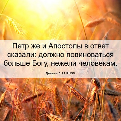 Picture 06 - Деяния 5:29 RUSV - Петр же и Апостолы в ответ - Bible Verse Picture