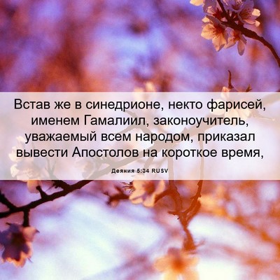 Picture 06 - Деяния 5:34 RUSV - Встав же в синедрионе, - Bible Verse Picture