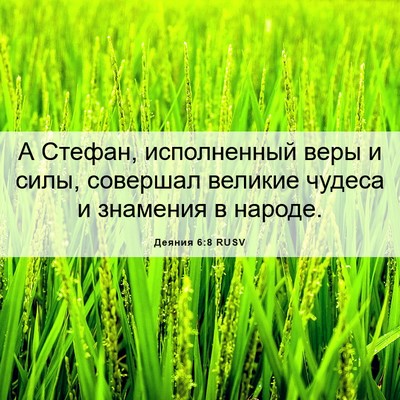 Picture 06 - Деяния 6:8 RUSV - А Стефан, исполненный веры - Bible Verse Picture