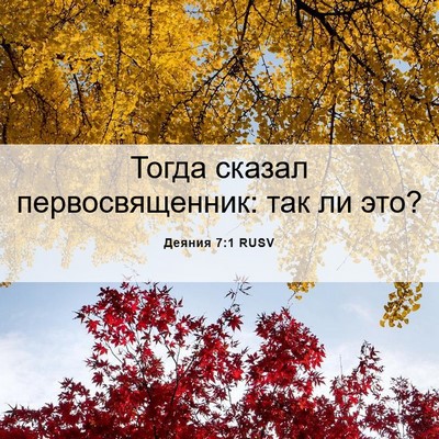 Picture 06 - Деяния 7:1 RUSV - Тогда сказал - Bible Verse Picture