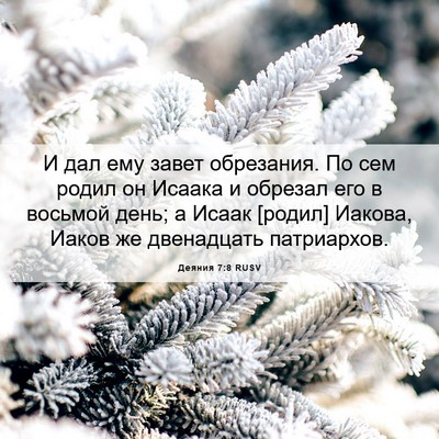 Picture 06 - Деяния 7:8 RUSV - И дал ему завет обрезания. - Bible Verse Picture